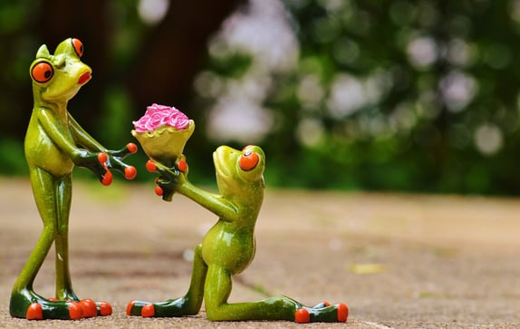 Two ornament frogs with a bouquet of flowers to represent social media marketing costs
